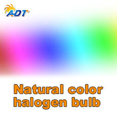  Natural color halogen bulb