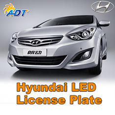 Hyundai LED License Plate